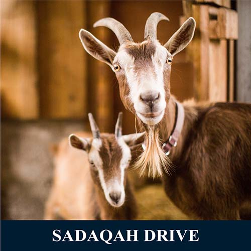 Sadaqah-Drive